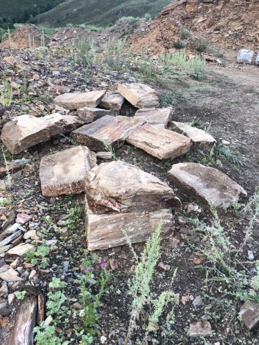 Пошаговая дорожка из плит златолит кора дерева купить в Улан-Удэ